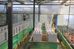 Fast charging of lead-acid batteries